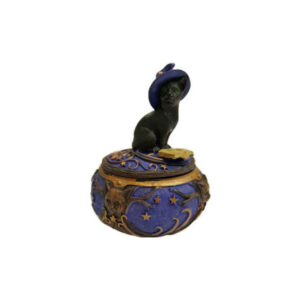 Magical Cat Box