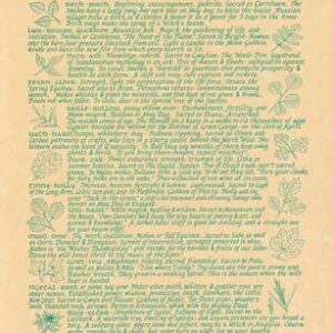 Celtic Trees poster